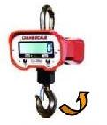 Crane Scale